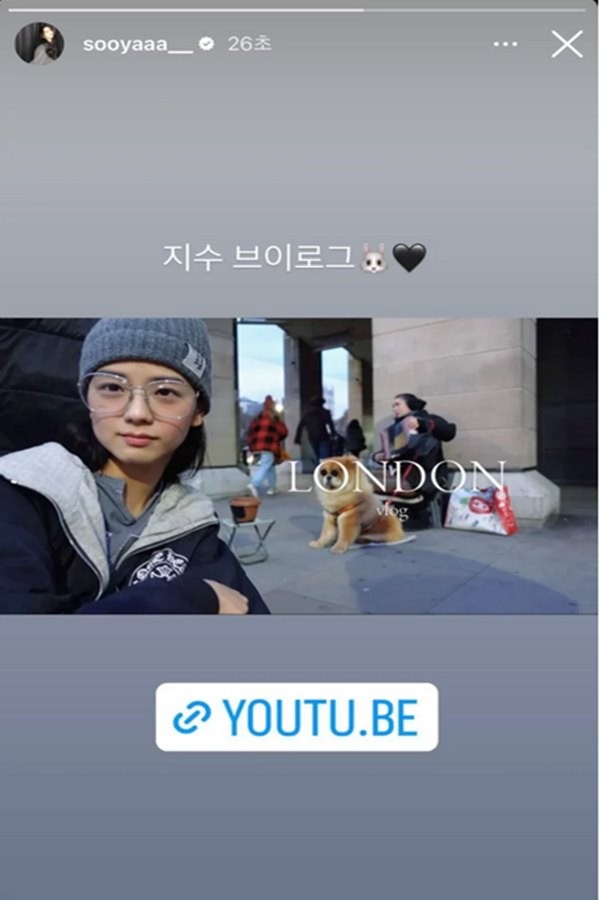 행복지수 103% : Jisoo Vlog